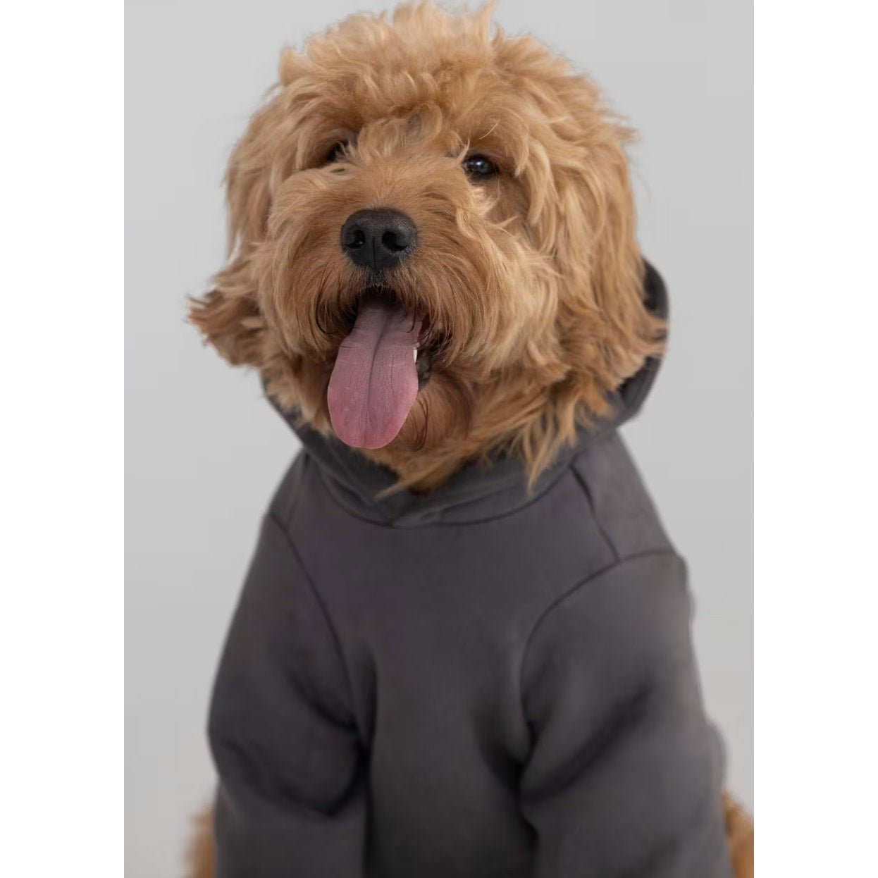 321 NEW COMFRT Pet Tranquil Paw Hoodie in Charcoal Sz 5XL