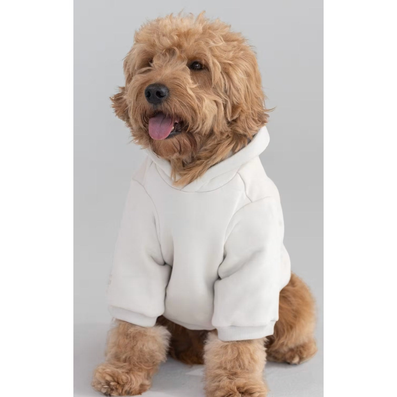 340 NEW COMFRT Pet Tranquil Paw Hoodie in COTTON in Sz XXS