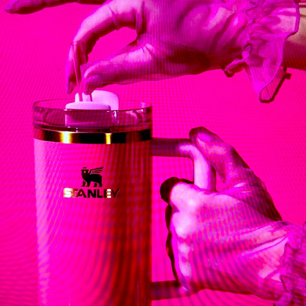 STANLEY THE QUENCHER H2.0 FLOWSTATE™ TUMBLER | 30 OZ in PINK PARADE (SOLD OUT)